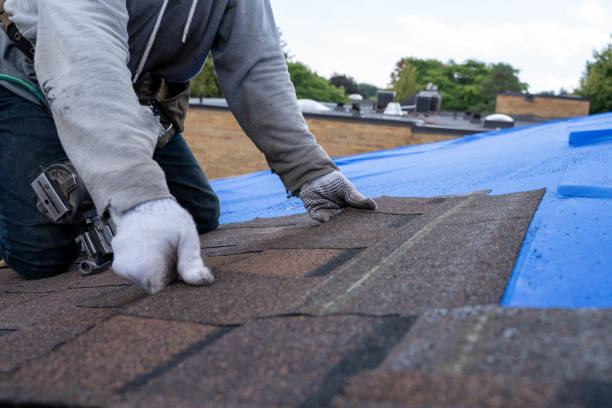 Quick and Trustworthy Emergency Roof Repair Services in Campbellsport, WI