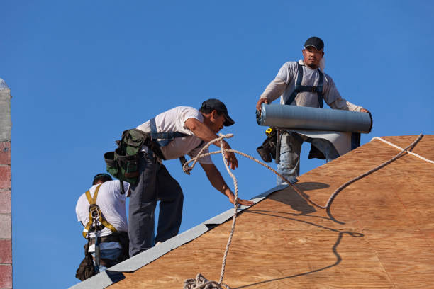 Best Shingle Roofing Installation  in Campbellsport, WI