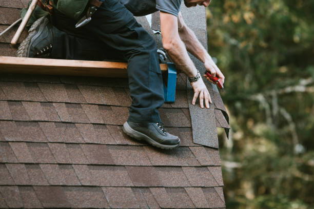 Best Roof Repair Services  in Campbellsport, WI
